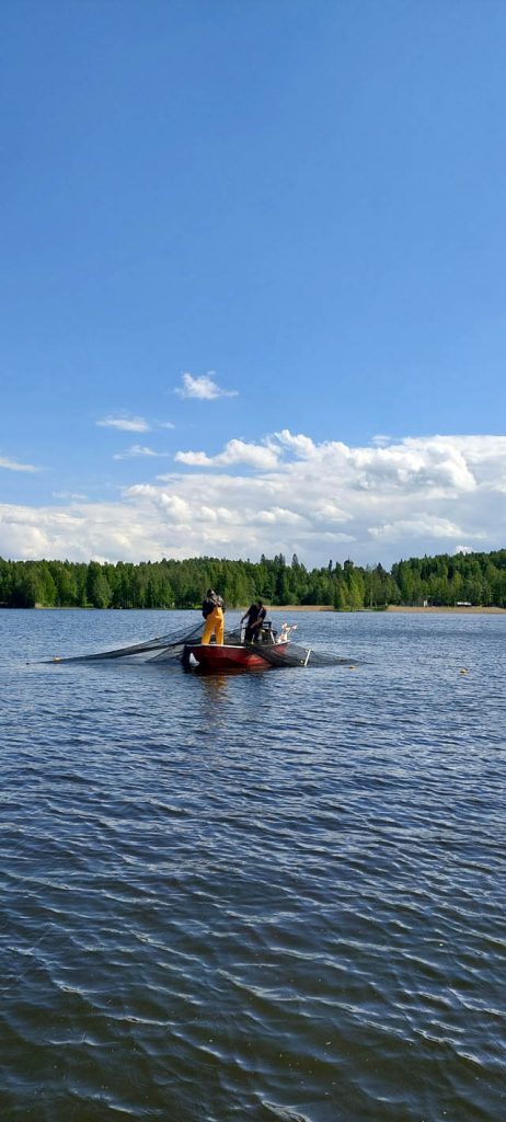 Hoitokalastusta suoritetaan Itä-Suomen järvillä