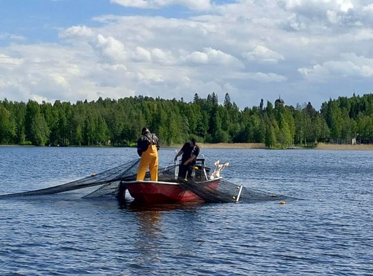 Ely-Keskus, käyttö ja hoitosuunnitelma, Parikkala, Rautjärvi, Ruokolahti, kalastus
